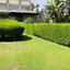 2 bedroom apartment for sale potamos germasogeias limassol 7513876 thumbnail 16092358
