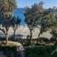 3 bedroom apartment for sale agios tychonas limassol 7986876 thumbnail 11973521