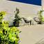 2 bedroom apartment for sale faneromeni larnaca 8737976 thumbnail 16358413