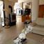 4 bedroom detached house for sale peyia paphos 8529976 thumbnail 15568419