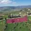 land for sale fyti paphos 7812976 thumbnail 10644356