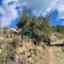 land for sale sina oros nicosia 1909976 thumbnail 7366381
