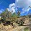 land for sale sina oros nicosia 1909976 thumbnail 7366382