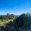 plot for sale pissouri limassol 7500976 thumbnail 9347523