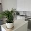 2 bedroom apartment for sale livadia larnacas larnaca 8571086 thumbnail 16064407