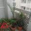 3 bedroom apartment for sale larnaca municipality larnaca 8681086 thumbnail 16595675