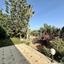 4 bedroom detached house for sale erimi limassol 1837086 thumbnail 12585915