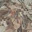 4350 SQM Land for sale in Pentakomo, Limassol thumbnail 7176091