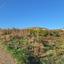 land for sale anarita paphos 8395086 thumbnail 14816068