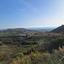 land for sale anarita paphos 8395086 thumbnail 14816073