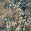 land for sale kathikas paphos 823086 thumbnail 16009300