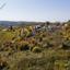 land for sale kathikas paphos 823086 thumbnail 16009302