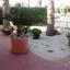 3 bedroom detached house for sale kiti larnaca 1242186 thumbnail 5439223