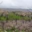 land for sale koilani limassol 8434186 thumbnail 15005954