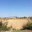land for sale mazotos larnaca 831186 thumbnail 1056738