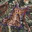 land for sale peyia paphos 8532186 thumbnail 17052864