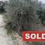 land sold sarama paphos 974186 thumbnail 889274