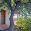 1 bedroom detached house for sale vasa kilaniou limassol 8908286 thumbnail 17400754