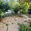 5 bedroom detached house for sale emba paphos 8959286 thumbnail 17780079