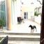 5 bedroom detached house for sale geri nicosia 1682286 thumbnail 4735415