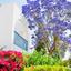 2 bedroom apartment for sale paphos municipality paphos 8203386 thumbnail 13702008