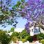 2 bedroom apartment for sale paphos municipality paphos 8203386 thumbnail 13702013