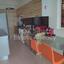 5 bedroom detached house for sale pyla larnaca 1301386 thumbnail 5762988