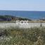 land for sale moni limassol 8542386 thumbnail 15510879