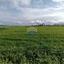 land for sale pervolia larnaca 7931386 thumbnail 14129035