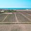land for sale softades larnaca 1094386 thumbnail 5617519