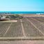 land for sale softades larnaca 1094386 thumbnail 5617529