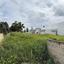 land for sale paralimni famagusta 8442486 thumbnail 17171191