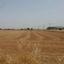 land for sale xylotymvou larnaca 1835486 thumbnail 15596877