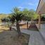 4 bedroom detached house for sale argaka paphos 7852586 thumbnail 15903477