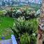 6 bedroom detached house for rent germasogeia limassol 7833586 thumbnail 14877783