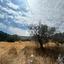 land for sale agios tychonas limassol 1862586 thumbnail 9673958