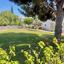 1 bedroom penthouse off market protaras famagusta 7605686 thumbnail 9766592