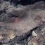 2007 SQM Land for sale in Statos Agios Fotios, Paphos thumbnail 16685768