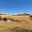 land for sale agios theodoros larnacas larnaca 1456686 thumbnail 15600140