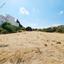 land for sale poli chrysochous paphos 1501686 thumbnail 3637501