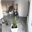 3 bedroom detached house for sale pano deftera nicosia 8748786 thumbnail 16468577
