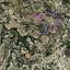 land for sale amargeti paphos 7874786 thumbnail 15642265