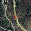 land for sale farmakas nicosia 8194786 thumbnail 13649653