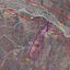 land for sale kelokedara paphos 945786 thumbnail 15600309