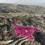 land for sale theletra paphos 1213786 thumbnail 4695294