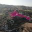 land for sale theletra paphos 1213786 thumbnail 4695309
