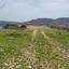 land for sale agios georgios silikou limassol 8433886 thumbnail 16512191