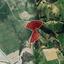 land for sale agios theodoros larnacas larnaca 7740886 thumbnail 15596742