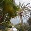 4 bedroom detached house for sale agios theodoros larnacas larnaca 8428986 thumbnail 14978713