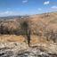 land for sale pentalia paphos 945986 thumbnail 15599449